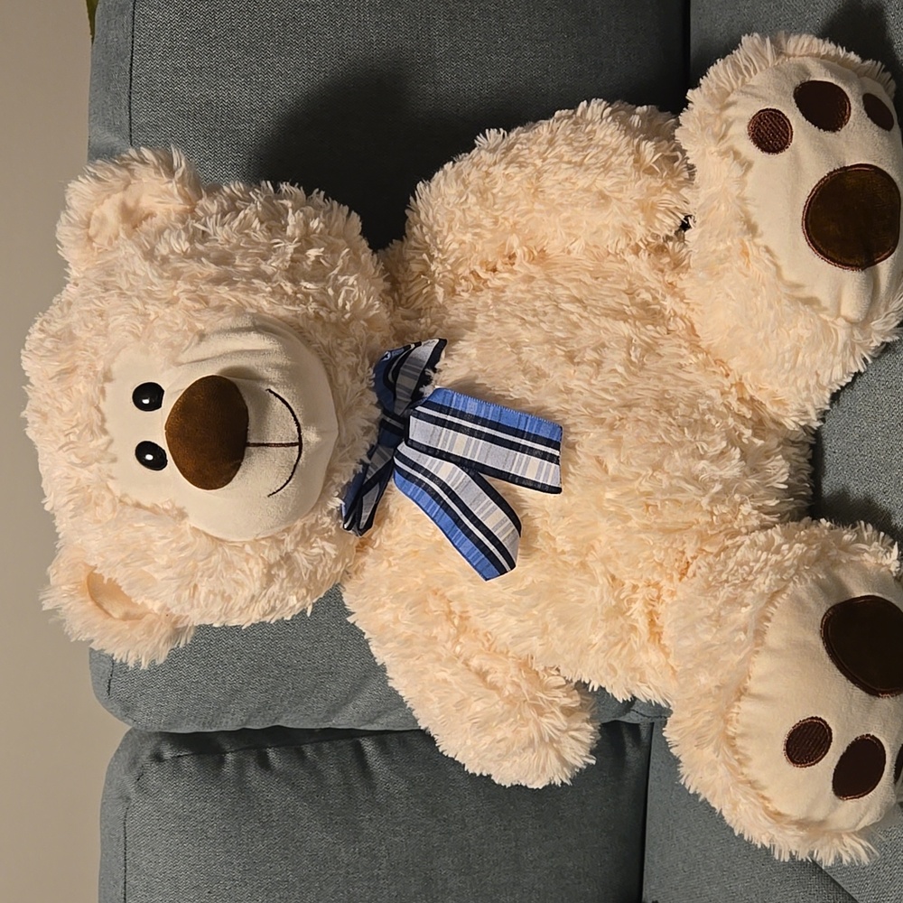 Teddy bear stuffed animal white